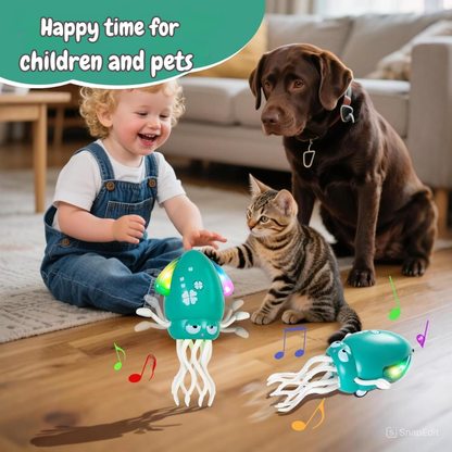 Calamar bailarín Interactivo